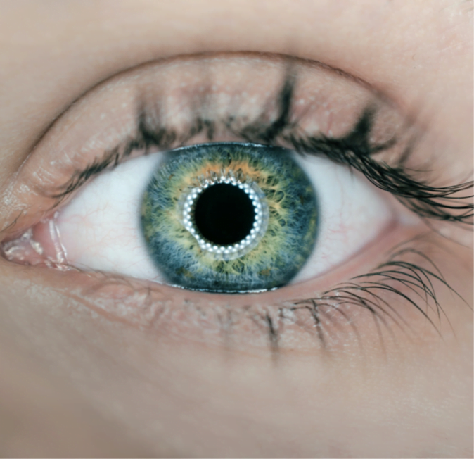 Screenshot 2023-12-18 144621